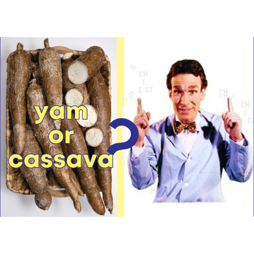 Think you're a true African food expert? Take our quiz and find out if you really know your red-red from your cassava?