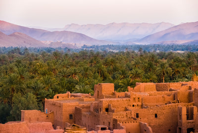 In the historic city of Marrakech, surrounded by colorful architecture and bustling markets
